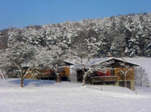 Ferienhaus im Schnee